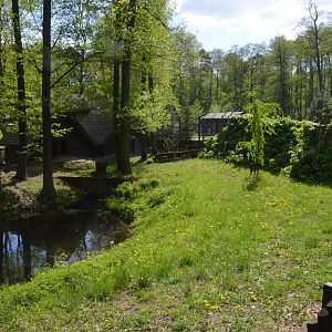 European White Stork Enclosure at Akcent Zoo Białystok, 08/05/19