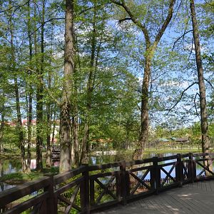 Waterfowl Lake at Akcent Zoo Białystok, 08/05/19