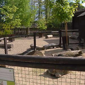 Farm Paddocks at Akcent Zoo Białystok, 08/05/19