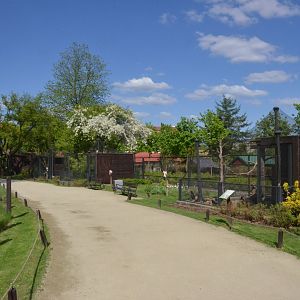 Empty (Pheasant?) Aviaries at Akcent Zoo Białystok, 08/05/19
