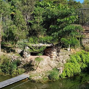 White Lion enclosure