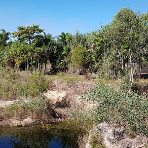 site of future lion enclosure