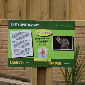Rusty-spotted Cat signage
