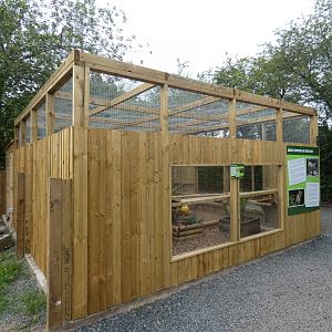 Rusty-spotted Cat enclosure