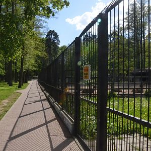Red Deer Viewing from Perimeter Fence at Akcent Zoo Białystok, 08/05/19