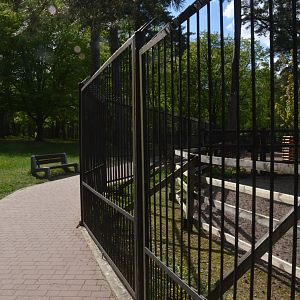 Red Deer Viewing from Perimeter Fence at Akcent Zoo Białystok, 08/05/19