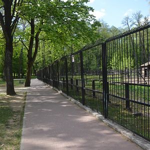 Bison Viewing from Perimeter Fence at Akcent Zoo Białystok, 08/05/19