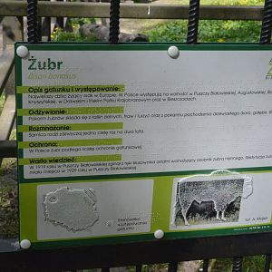 Signage Example at Akcent Zoo Białystok, 08/05/19