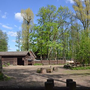 Pony Enclosure at Akcent Zoo Białystok, 08/05/19