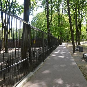 Fallow Deer Viewing from Perimeter Fence at Akcent Zoo Białystok, 08/05/19