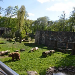 Brown Bear Enclosure at Akcent Zoo Białystok, 08/05/19