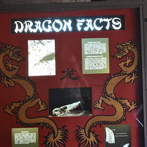 Komodo Dragon display sign
