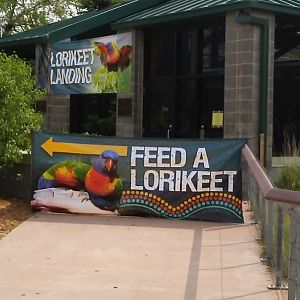 Lorikeet Landing- Outside