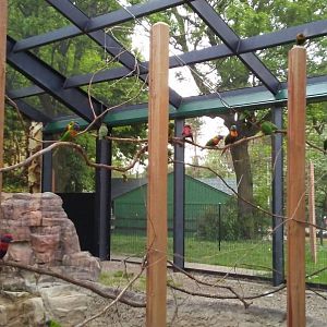 Lorikeet Landing (2)