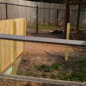 Kangaroo Holding Area