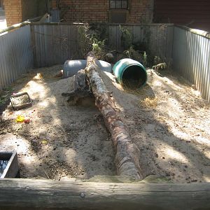 Farm Fun - Nutria exhibit