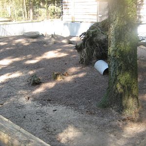 Farm Fun - Cavy exhibit