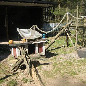 Farm Fun - Raccoon exhibit