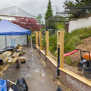 Former Sand Lizard Enclosure - 04/06/2019