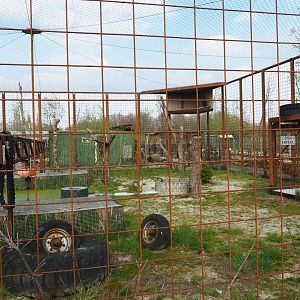 Steller's sea eagle aviary, 2019-04-06