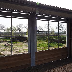 Maned wolf viewing windows, 2019-04-06