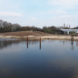 Mixed South American exhibit, 2019-04-06