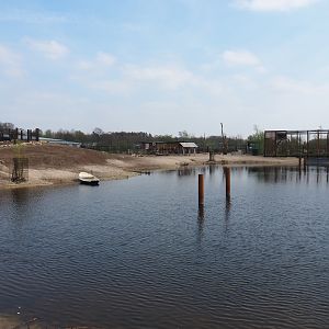 Mixed South American exhibit, 2019-04-06