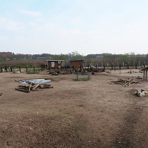 Mixed South American exhibit, 2019-04-06