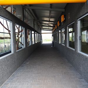 South American house pathway, 2019-04-06