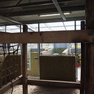 Blue-and-gold macaw indoor housing, 2019-04-06