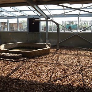 South American tapir and capybara indoor housing, 2019-04-06
