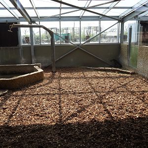 South American tapir and capybara indoor housing, 2019-04-06