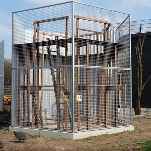 Victoria crowned pigeon and Red-billed blue magpie aviary under construction, 2019-04-06