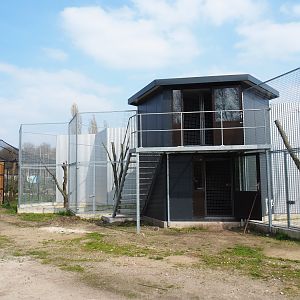 Construction of new exhibits, 2019-04-06