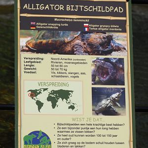 Sign Alligator snapping turtle, 2019-04-06