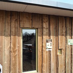 Common cusimanse house, 2019-04-06