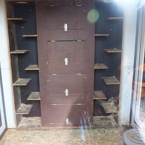 Common cusimanse indoor housing, 2019-04-06