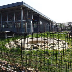 South American house and Giant anteater - Azara's agouti paddock, 2019-04-06