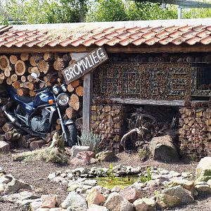 Very weird insect hotel with moped, 2019-04-06