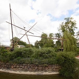 Squirrel monkey island