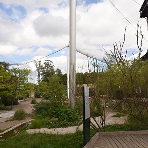 Caribbean flamingo aviary