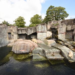 Old polar bear enclosure