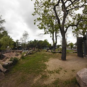 Grey kangaroo walkthrough