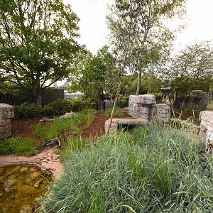 Tasmanian devil enclosure