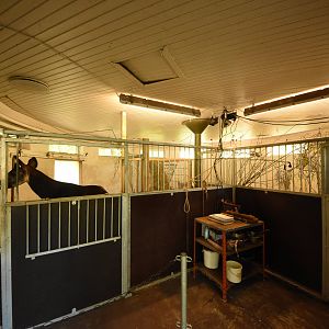 Okapi stables