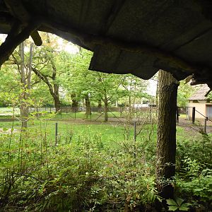 Okapi outdoor enclosure