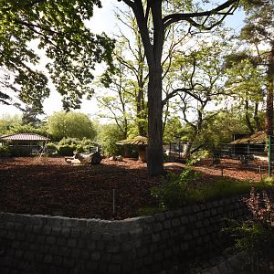 Malayan tapir enclosure