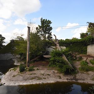 Siberian tiger enclosure