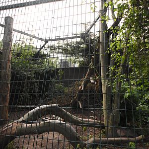 Amur leopard cage 2
