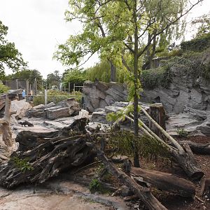 Asian small-clawed otter enclosure